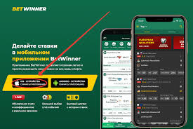 Baji bet app download APK - Your Gateway to Online Betting
