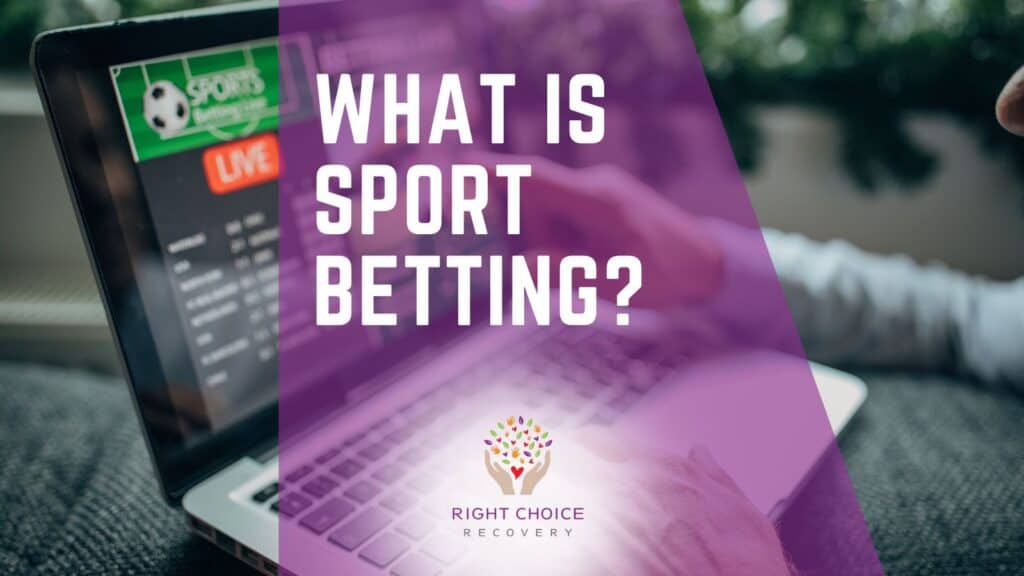 Exploring the Best Casinos That Support Multi-Account Tracking