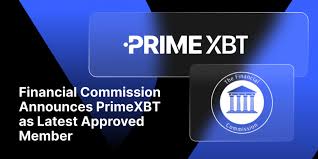 Discover the Power of Trading with Platform PrimeXBT
