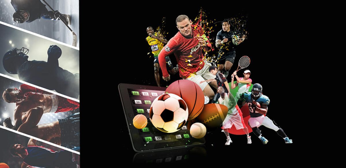 Understanding Dink Bet The Future of Online Betting