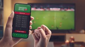Understanding Dink Bet The Future of Online Betting